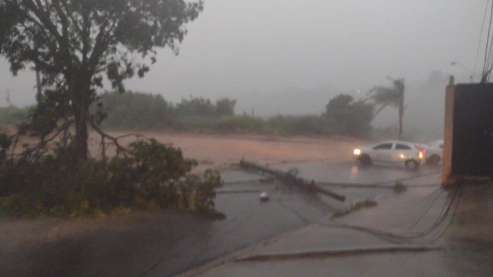 (Foto: Arquivo pessoal)