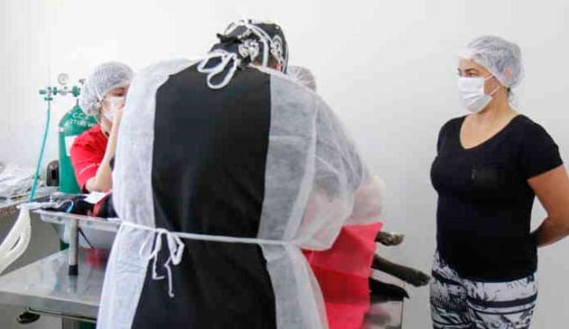 Prefeitura de Itupeva realiza pré-cadastro para castração de cães e gatos