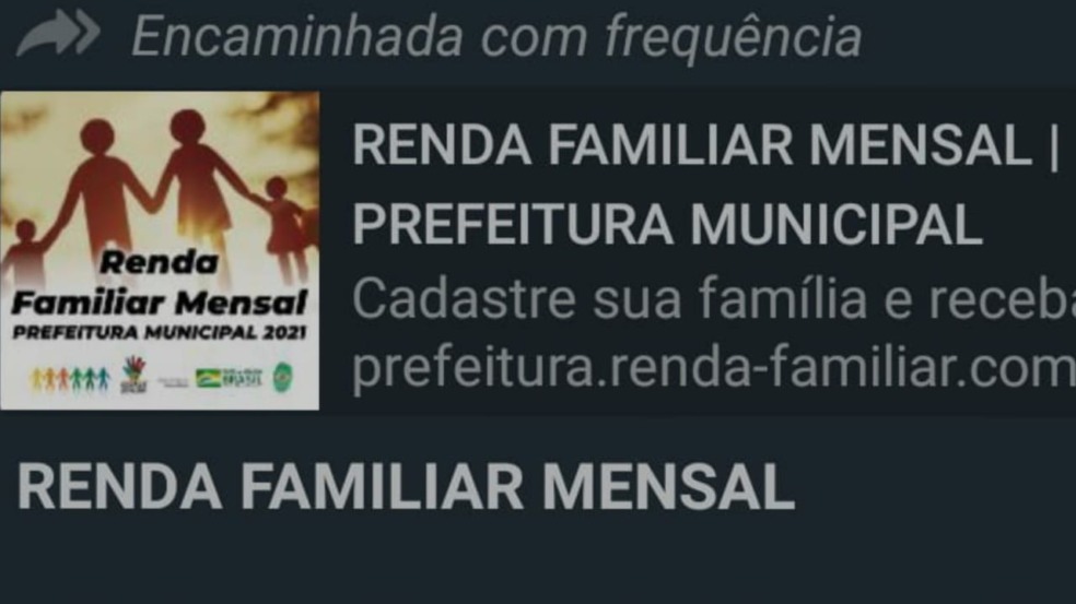 Mensagem falsa sobre Renda Unificada