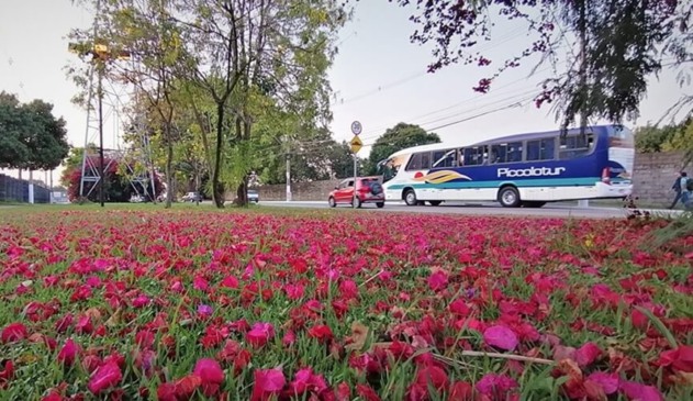 Primavera começa com temperaturas acima da média em Jundiaí