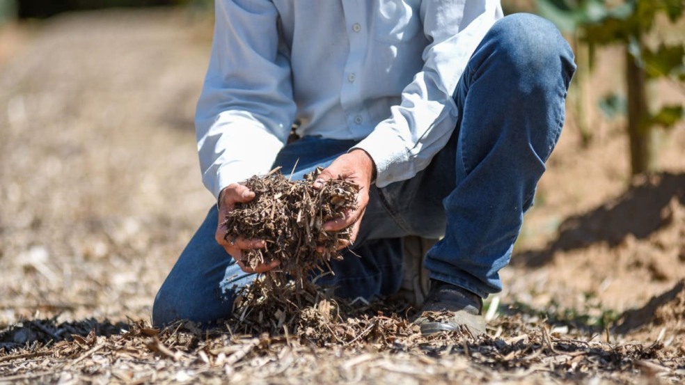 Foto: Prefeitura de Jundiaí