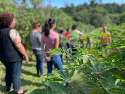 professoras em uma horta para a entender implementação do programa inova na Horta