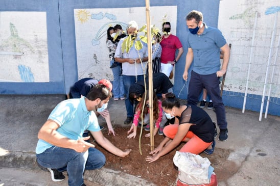 Pé de Árvore Luiz Fernando Machado