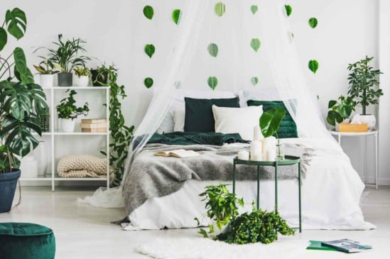 Jardinagem urbana: transformando pequenos espaços em oásis verdes