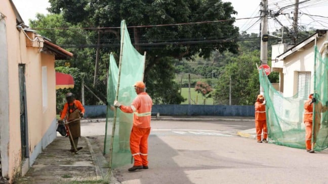 Poda de árvores em via pública.