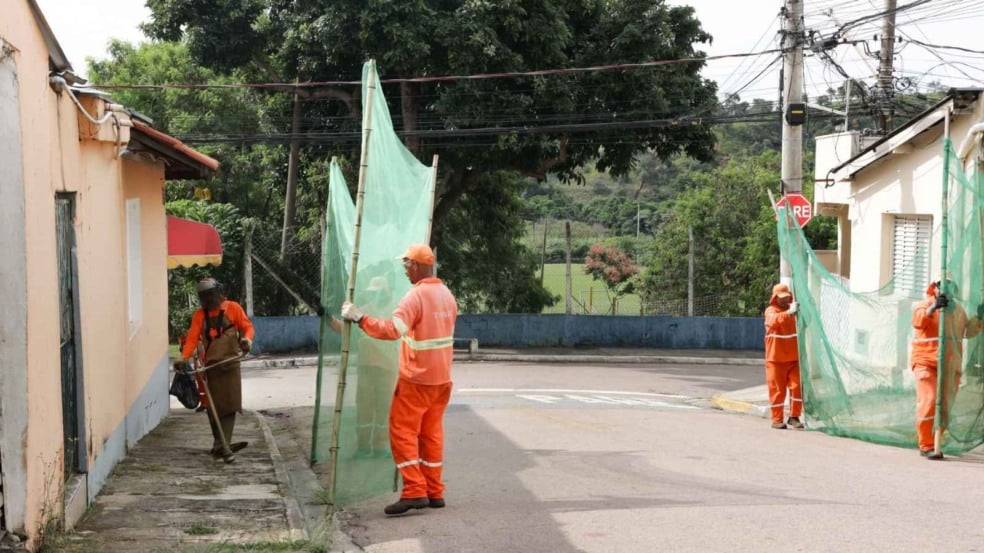 Poda de árvores em via pública.
