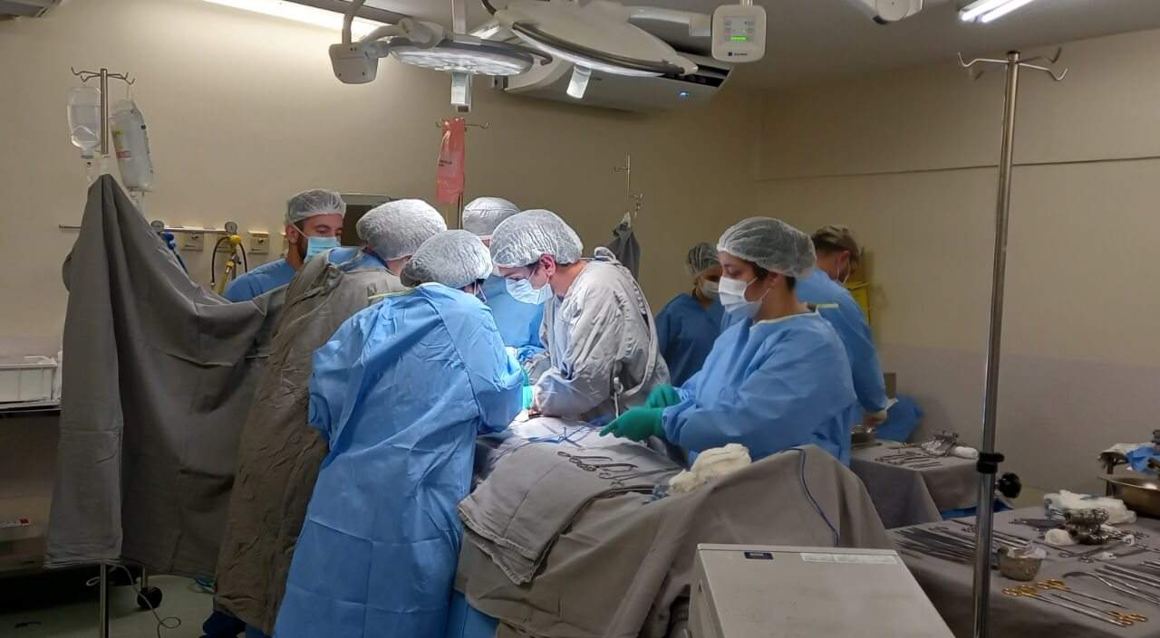 Com 626 cirurgias realizadas em setembro, HSV bate recorde desde o início da pandemia
