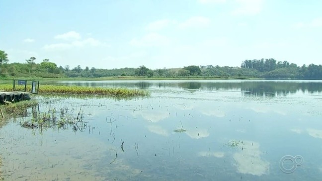 Foto: Reprodução/TV TEM