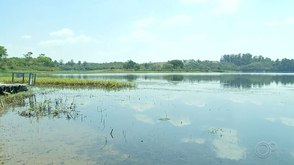 Foto: Reprodução/TV TEM