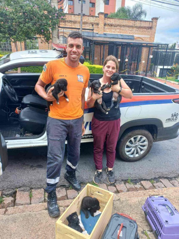 Resgate de cachorros na região de Jundiaí