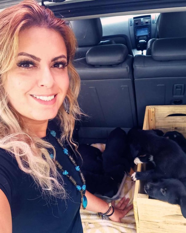 Resgate de cachorros na região de Jundiaí