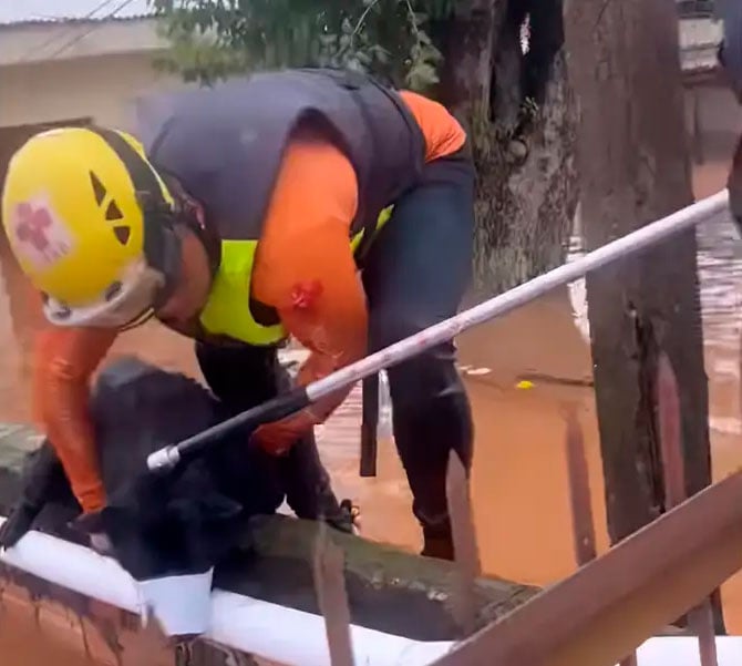 Animais sendo resgatados nas enchentes no RS