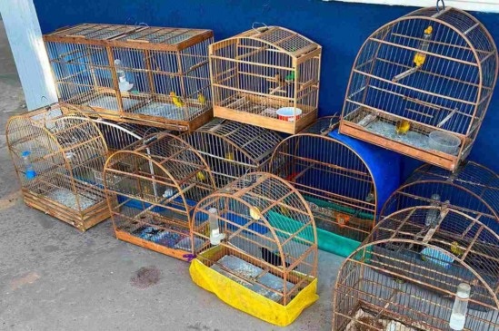 Foto: Prefeitura de Várzea Paulista