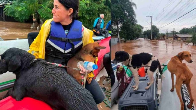 Foto: Reprodução/Instagram @deisefalci