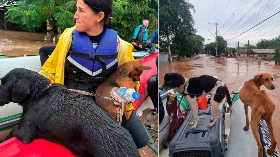 Foto: Reprodução/Instagram @deisefalci