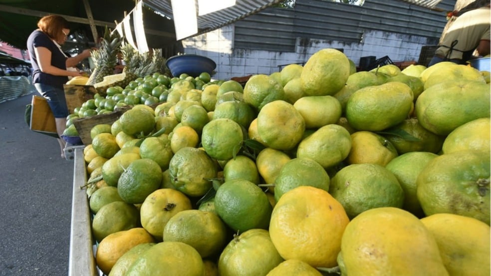 A partir desta semana, o comércio funcionará das 16h às 19h.