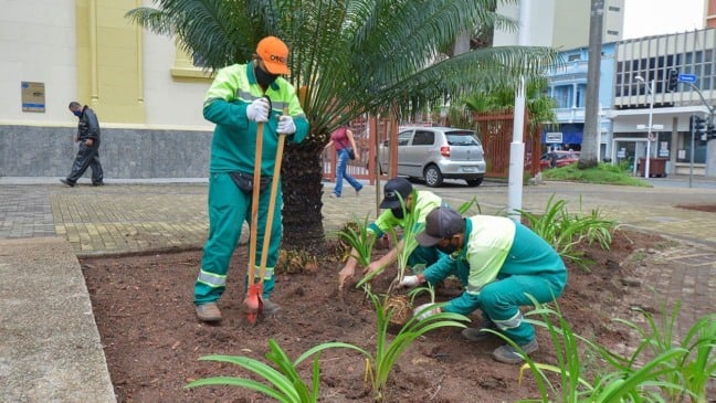Praças do Centro de Jundiaí recebem plantio de 1,2 mil mudas