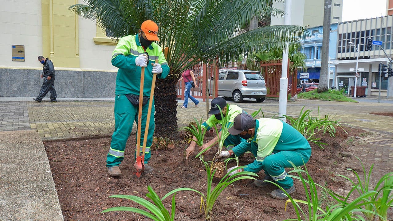 Praças do Centro de Jundiaí recebem plantio de 1,2 mil mudas
