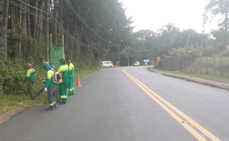Equipes cortam mato na beira de estrada
