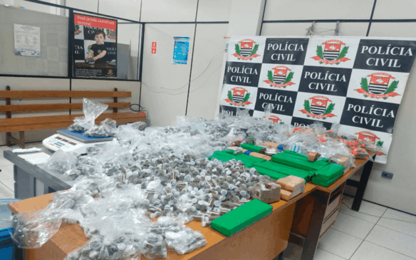 Ao todo, foram apreendidos cerca de 4.576 porções e 35 tijolos de maconha. (Foto: G1)