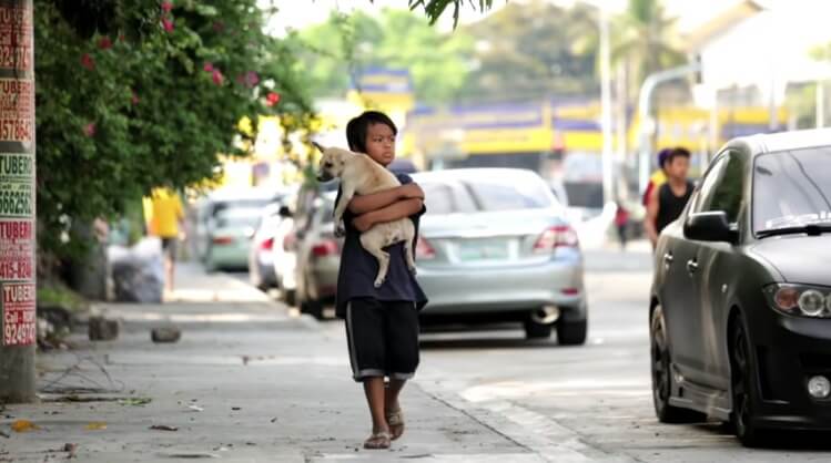 Menino com cachorro no colo
