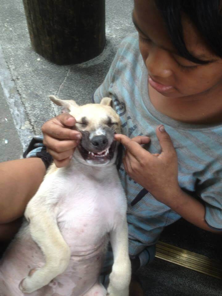 Menino com cachorro no colo