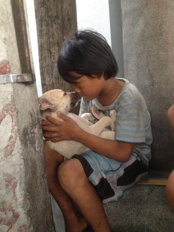Menino com cachorro no colo