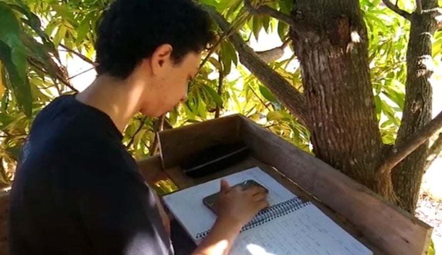 Foto de criança estudando encima de árvore