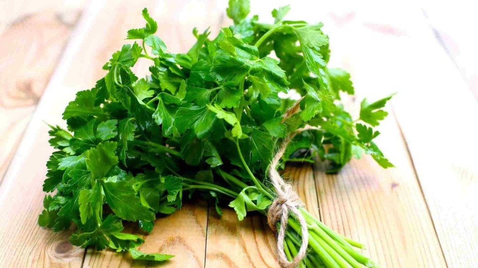 (Foto: Coskuna/ Canva)