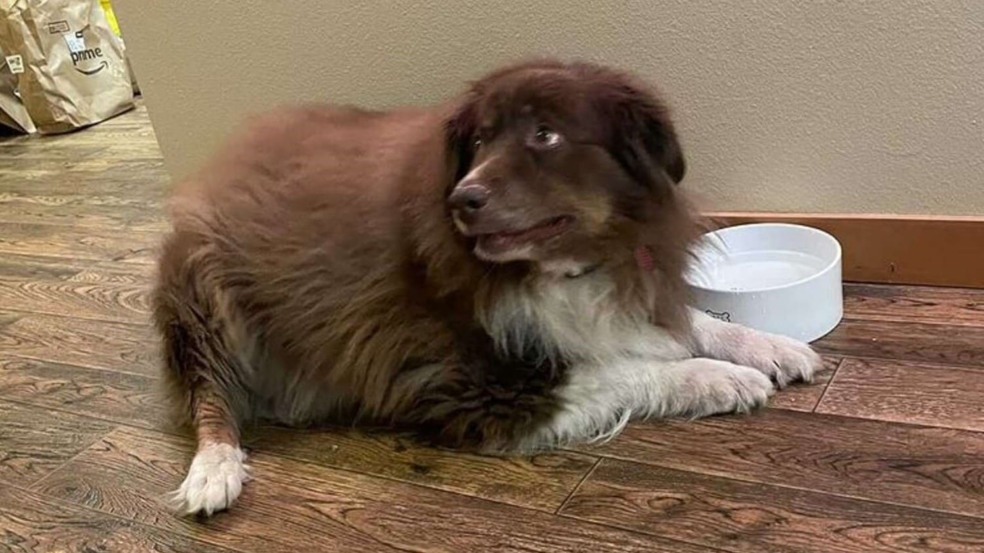 Foto: Ashton Hart Foto: Ashton Hart