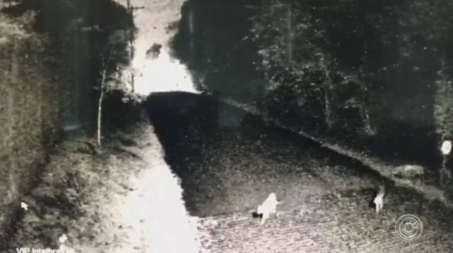 Imagens de câmeras de segurança captando duas onças em período da noite