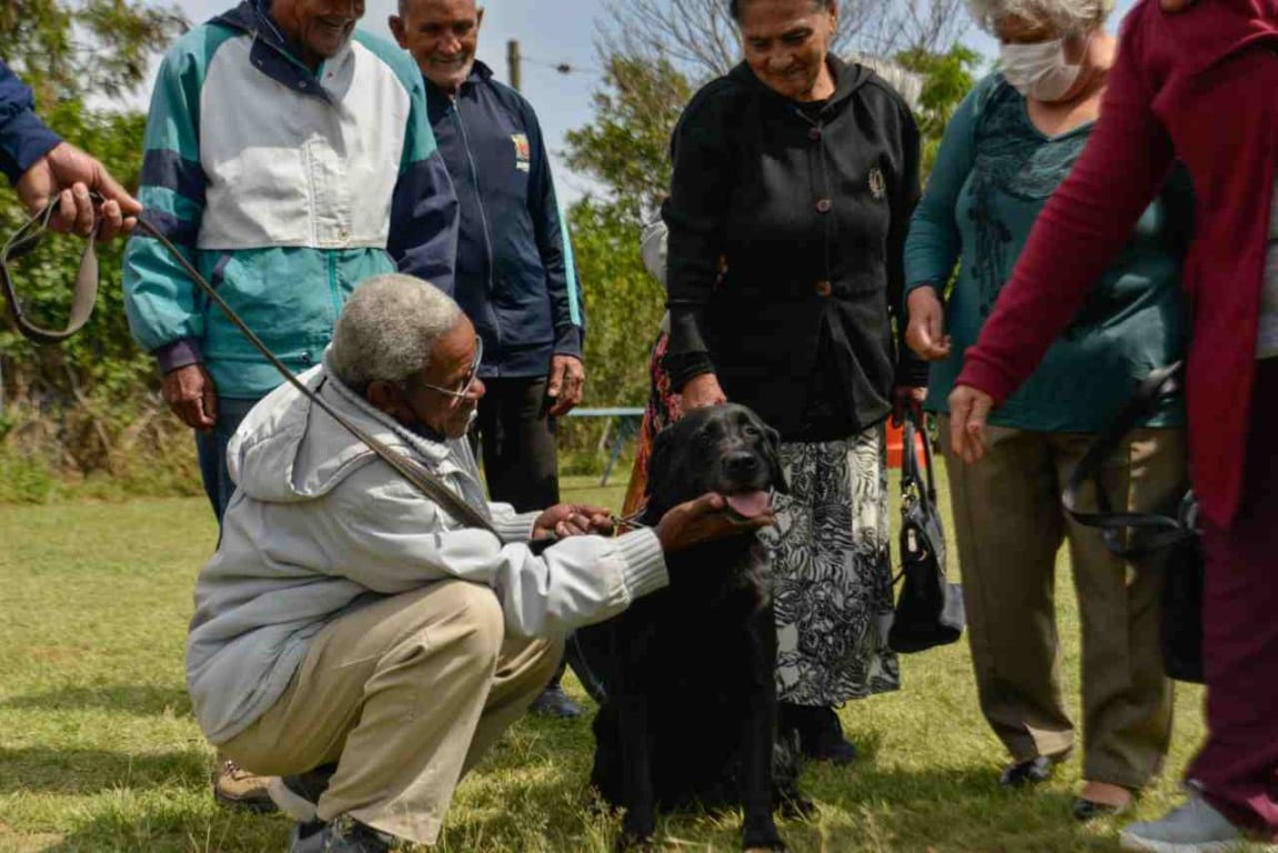 semana_do_idoso_canil_gmj1-compressed