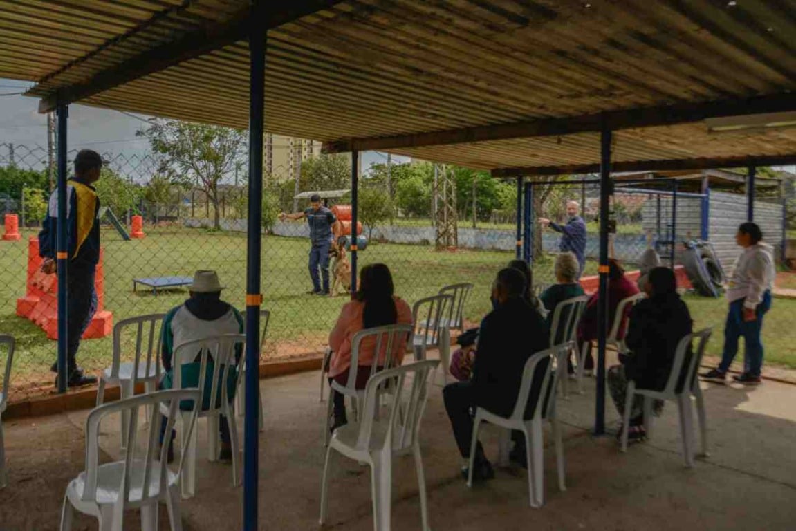 semana_do_idoso_canil_gmj2-compressed