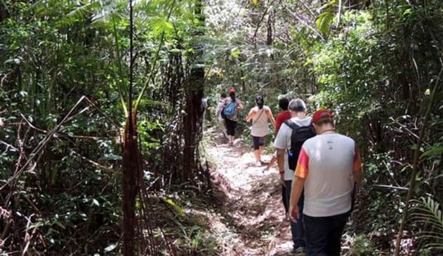 Foto da Serra do Japi