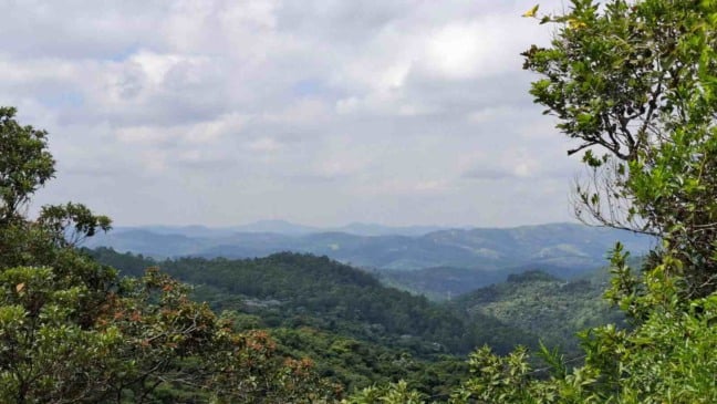 Serra do Japi