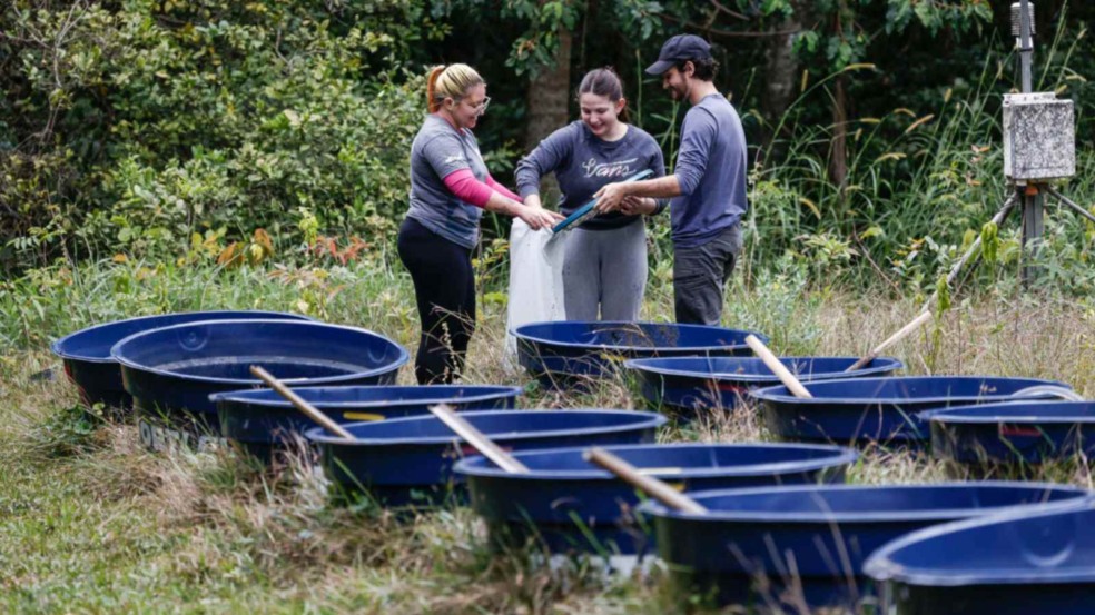 Cientistas em campo.