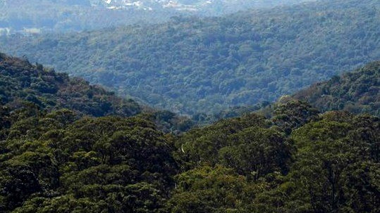 Projeto “Olhos da Serra” reforça preservação e segurança hídrica na Serra do Japi