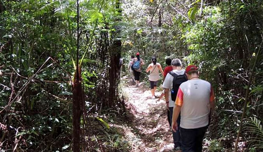 Foto da Serra do Japi