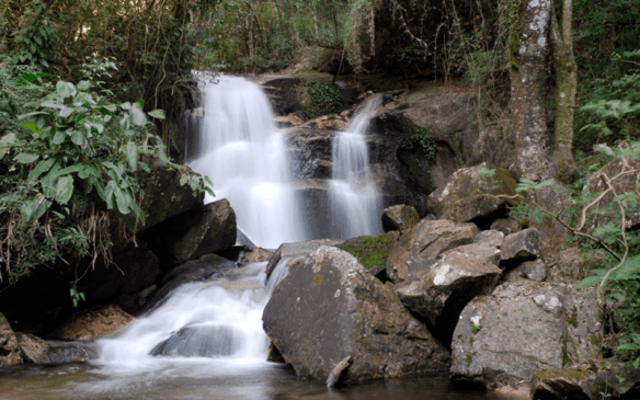 47,67% da Serra do Japi está concentrada em Jundiaí. (Foto: Fundação Serra do Japi)