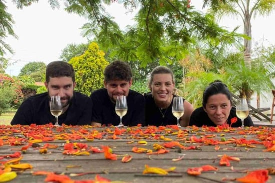 Explorando o mundo dos vinhos brasileiros: conheça o Brasil de Vinhos