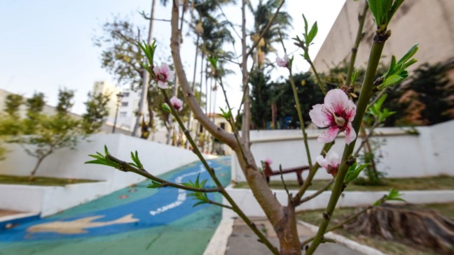 Foto: Prefeitura de Jundiaí