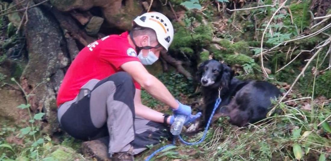 suki-salvou-homem-de-76-anos