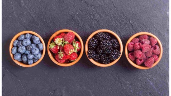 Mirtilo. morango, amora e franboesa