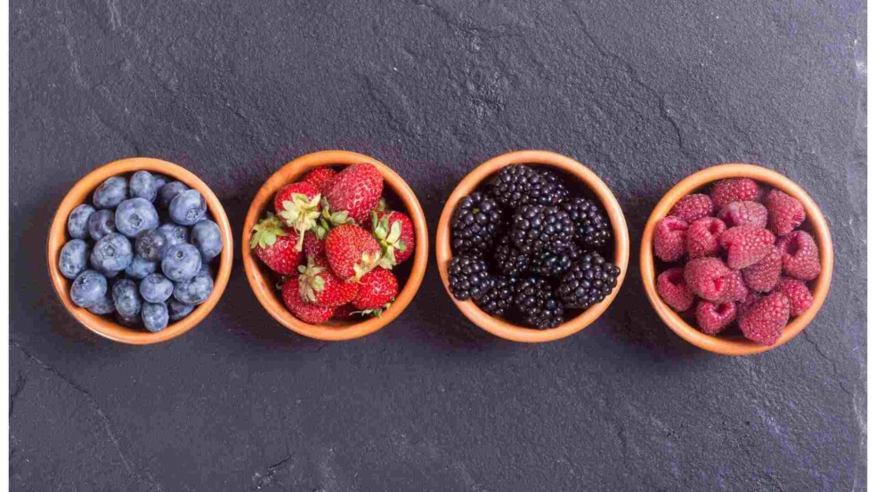 Mirtilo. morango, amora e franboesa
