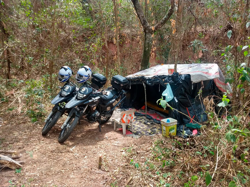 Tarado do lago. (Foto: Divulgação)