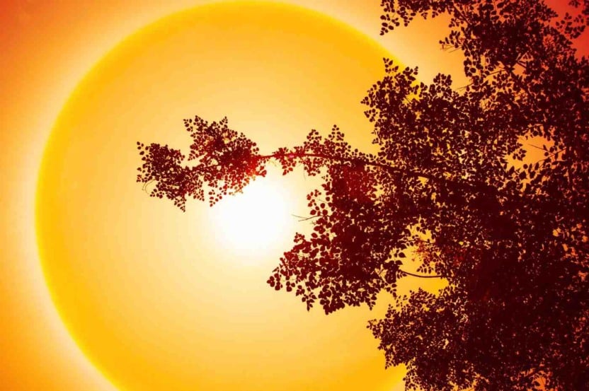 21 de julho de 2024 foi registrado como o dia mais quente da história do planeta Terra