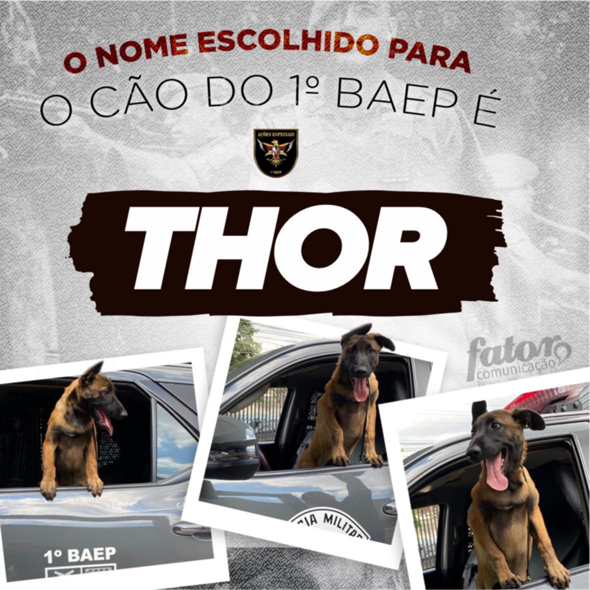 thor