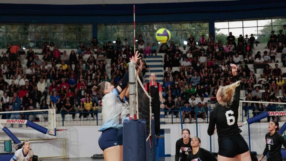 Jogo de volei. Jogo de volei.