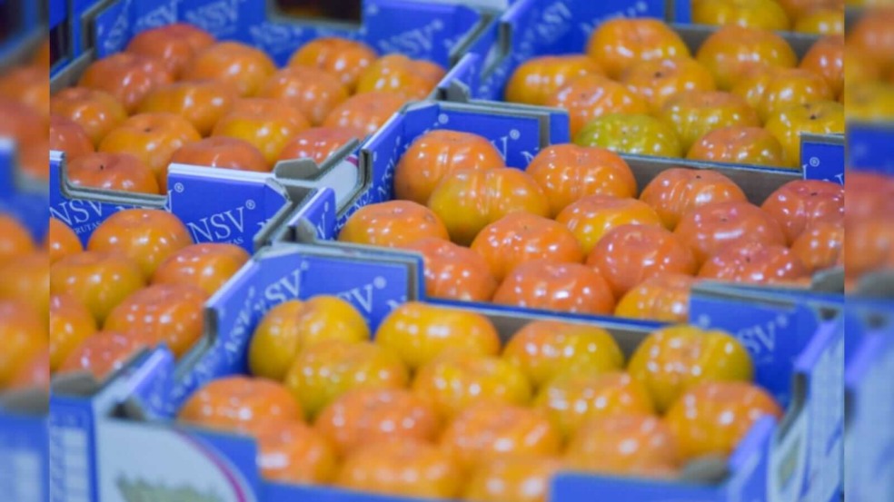 Foto: Prefeitura de Jundiaí