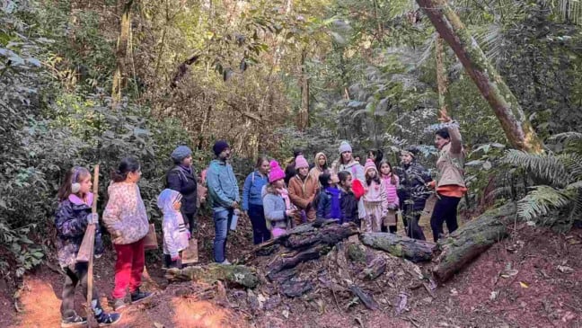 Crianças em trilha na Serra do Japi.